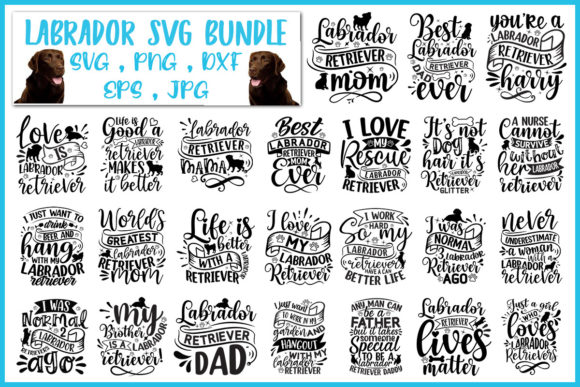 Labrador Svg Bundle: A Designer’s Real-World Review